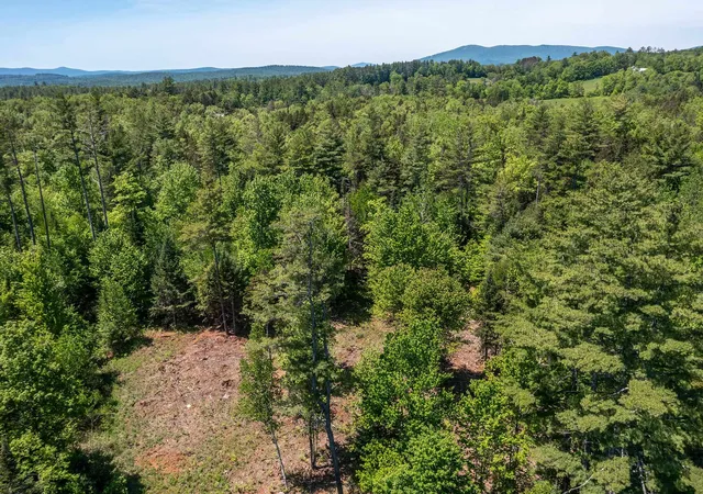 Homes for sale in Londonderry, VT | 0 Vt 100 Rte, Londonderry, VT 05148 | MLS# 5072614