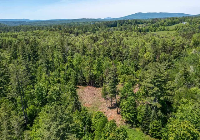 Homes for sale in Londonderry, VT | 0 Vt 100 Rte, Londonderry, VT 05148 | MLS# 5072614