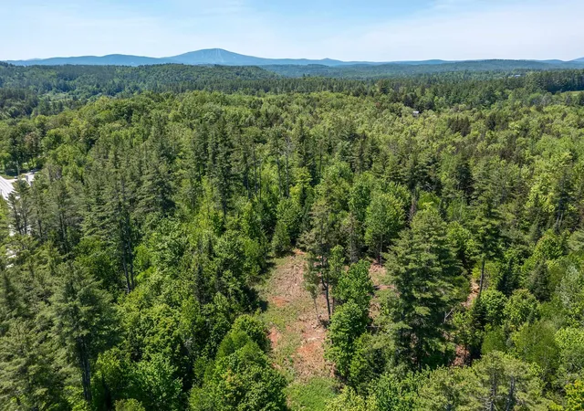 Homes for sale in Londonderry, VT | 0 Vt 100 Rte, Londonderry, VT 05148 | MLS# 5072614
