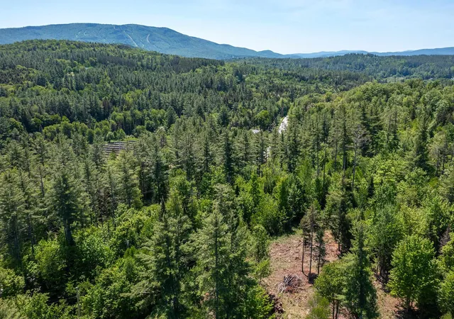 Homes for sale in Londonderry, VT | 0 Vt 100 Rte, Londonderry, VT 05148 | MLS# 5072614