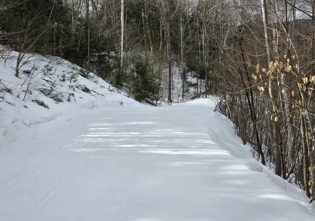 3rd image of 16 Yellow Birch Cir, Lincoln, NH 03251 | MLS# 5072737