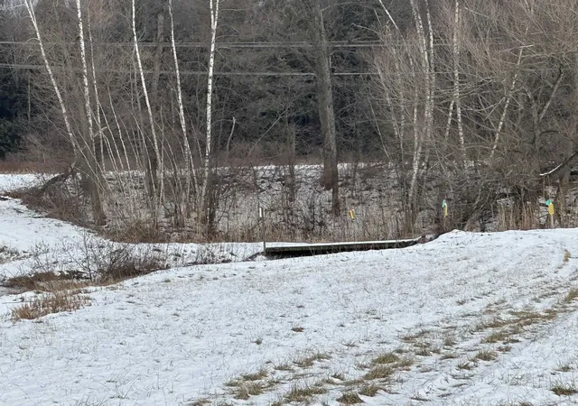 10th image of 0 Middle Rd, Salisbury, VT 05769 | MLS# 5072769