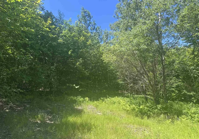Homes for sale in Winhall, VT | 0 Stratton Gardens Rd, Winhall, VT 05340 | MLS# 5072896