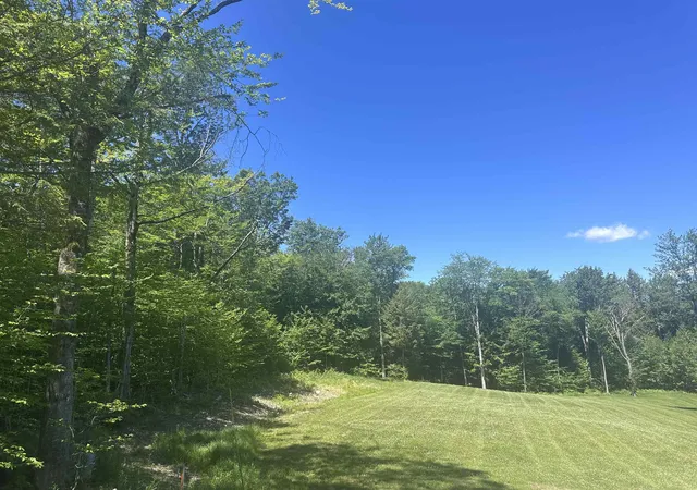 Homes for sale in Winhall, VT | 0 Stratton Gardens Rd, Winhall, VT 05340 | MLS# 5072896