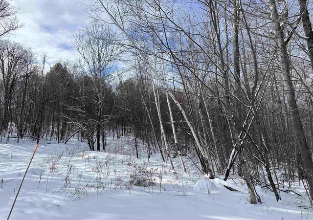 Homes for sale in Winhall, VT | 0 Stratton Gardens Rd, Winhall, VT 05340 | MLS# 5072896