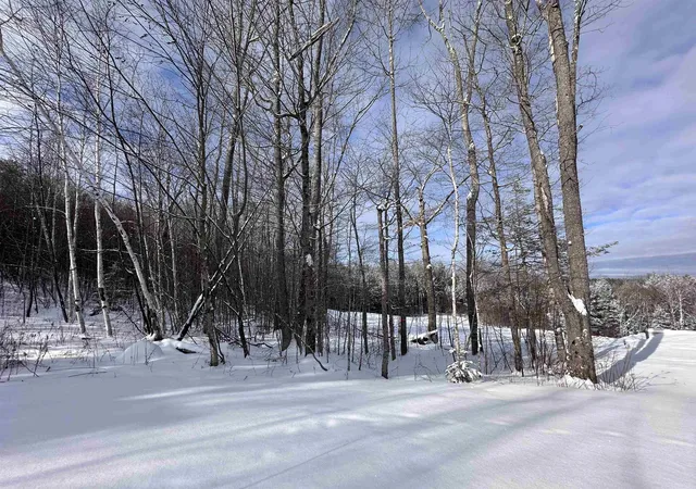 Homes for sale in Winhall, VT | 0 Stratton Gardens Rd, Winhall, VT 05340 | MLS# 5072896