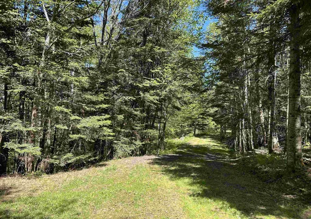 3rd image of 242 Noyes Rd, Stewartstown, NH 03576 | MLS# 5073071