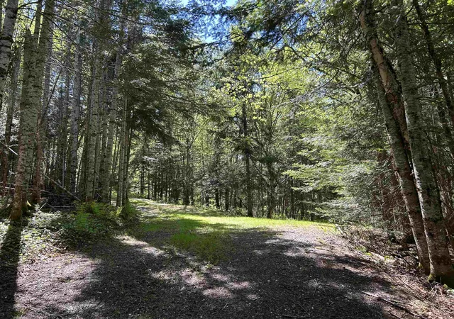 4th image of 242 Noyes Rd, Stewartstown, NH 03576 | MLS# 5073071