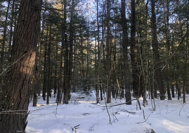 Photo 1 of Land for sale at 0 Chesterfield Rd, Keene, NH 03431 | MLS# 5073154 | Listing updated on 2026-10-01