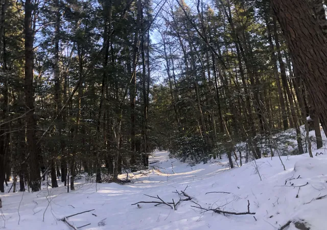 Photo 2 of Land for sale at 0 Chesterfield Rd, Keene, NH 03431 | MLS# 5073154 | Listing updated on 2026-10-01