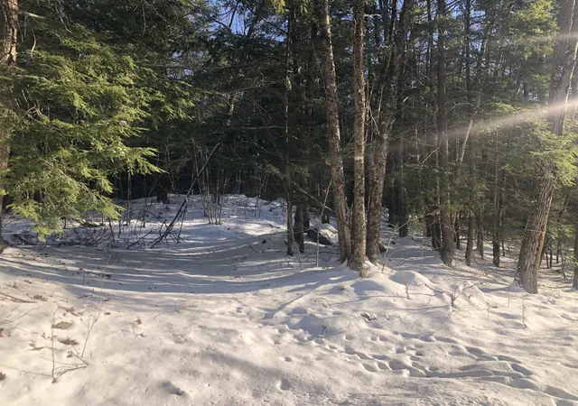 Photo 3 of Land for sale at 0 Chesterfield Rd, Keene, NH 03431 | MLS# 5073154 | Listing updated on 2026-10-01