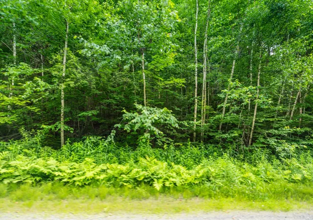 Photo 3 of Land for sale at 31 Woodsman Rd, West Dover, VT 05356 | MLS# 5073253 | Listing updated on 2026-01-07