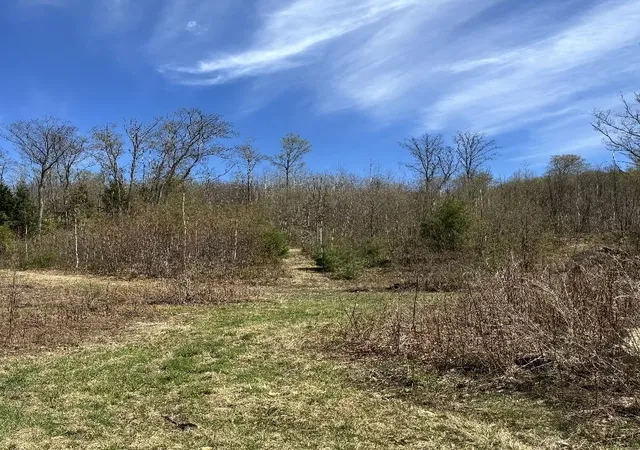 2nd image of 000 Black North Rd, Acworth, NH 03601 | MLS# 5073356