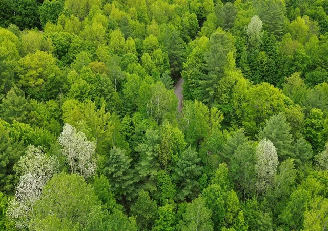 2nd image of 7 Sugar Hill Rd, Underhill, VT 05489 | MLS# 5073459