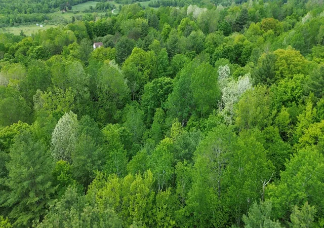 Photo 3 of Land for sale at 7 Sugar Hill Rd, Underhill, VT 05489 | MLS# 5073459 | Listing updated on 2026-08-21