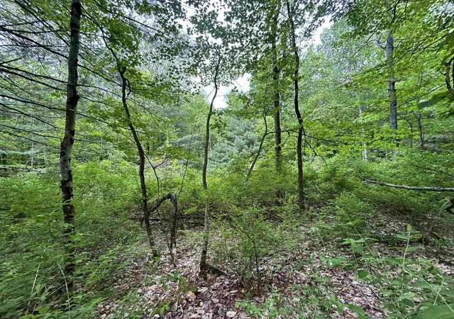 Photo 3 of Land for sale at 7 Sugar Hill Rd, Underhill, VT 05489 | MLS# 5073459 | Listing updated on 2026-08-21