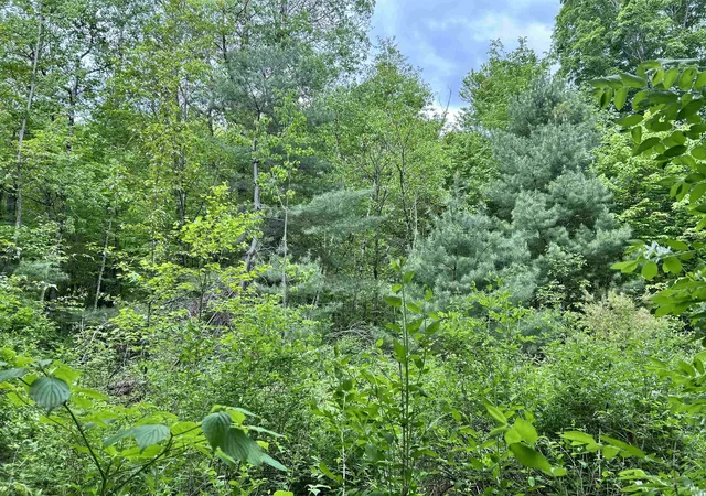 5th image of 7 Sugar Hill Rd, Underhill, VT 05489 | MLS# 5073459