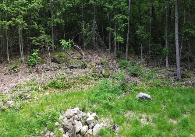 Homes for sale in New Durham, NH | 231 Valley Rd, New Durham, NH 03855 | MLS# 5073614