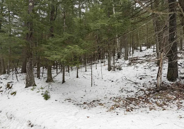 3rd image of 00 Wetherbee Rd, Lyman, NH 03585 | MLS# 5074299