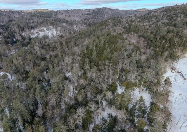 4th image of 00 Wetherbee Rd, Lyman, NH 03585 | MLS# 5074299