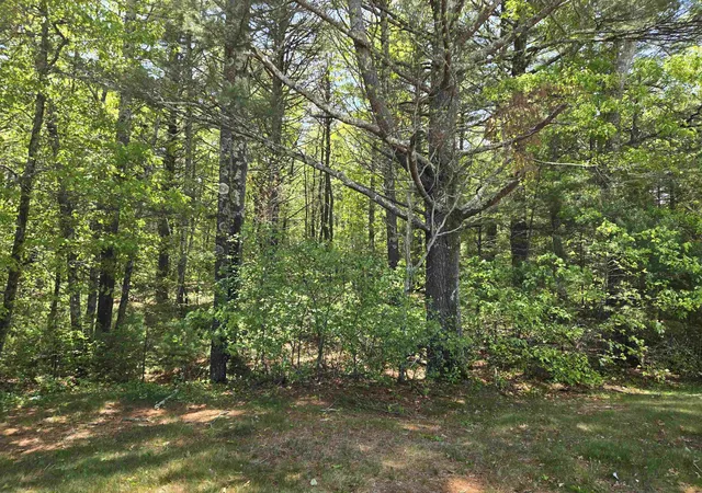 Homes for sale in Campton, NH | 10 Issax Fox Rd, Campton, NH 03223 | MLS# 5074571