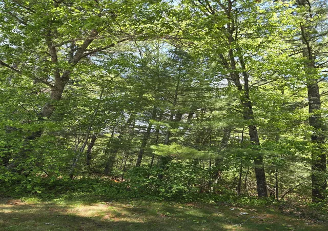 Homes for sale in Campton, NH | 10 Issax Fox Rd, Campton, NH 03223 | MLS# 5074571