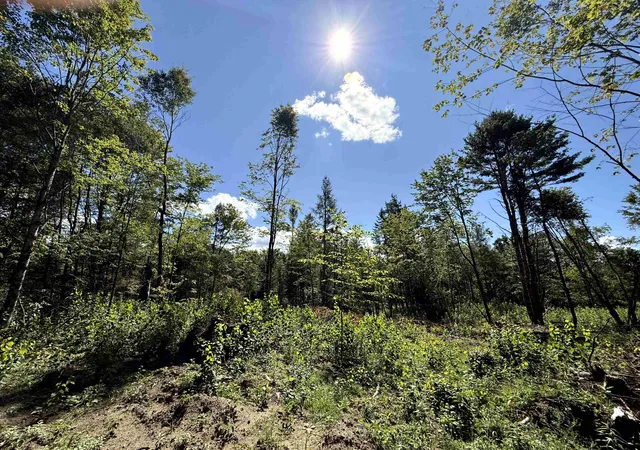 Photo 3 of Land for sale at 000 Darling Hill Rd, Lyndon, VT 05849 | MLS# 5074669 | Listing updated on 2026-08-28