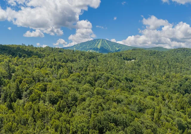 Homes for sale in Winhall, VT | 56 Lower Taylor Hill Rd, Winhall, VT 05340 | MLS# 5074721