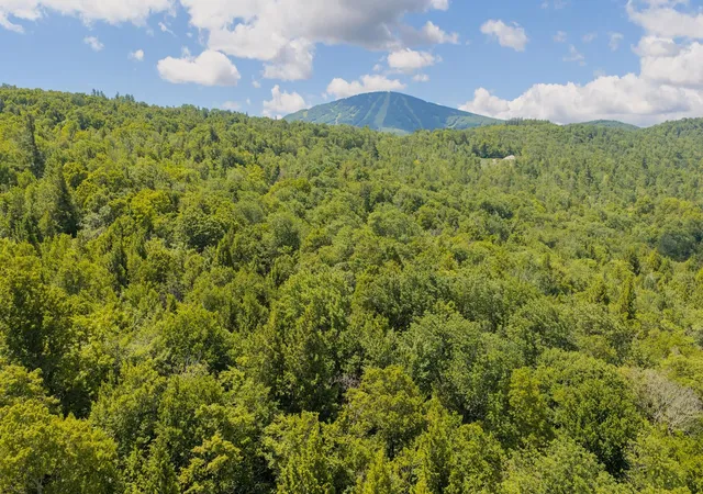 Homes for sale in Winhall, VT | 56 Lower Taylor Hill Rd, Winhall, VT 05340 | MLS# 5074721