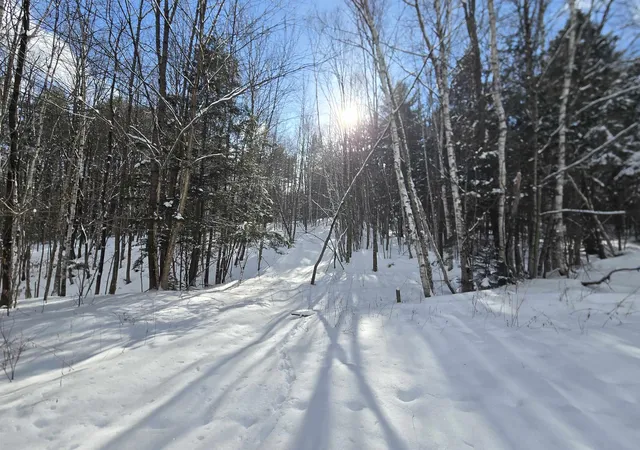 Photo 3 of Land for sale at Tbd Farrar Rd, Chester, VT 05143 | MLS# 5074848 | Listing updated on 2026-09-26