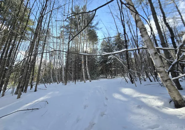 Photo 4 of Land for sale at Tbd Farrar Rd, Chester, VT 05143 | MLS# 5074848 | Listing updated on 2026-09-26