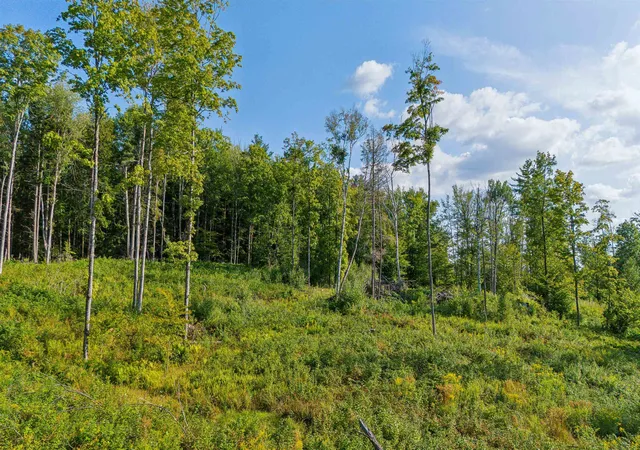 Homes for sale in Hartford, VT | 00 Wildlife Rd, Hartford, VT 05001 | MLS# 5075402