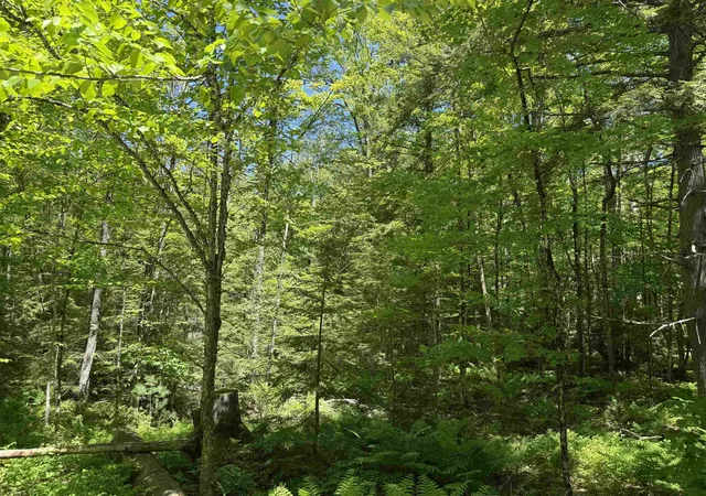 Homes for sale in Quechee, VT | 430 Jay Hill Rd, Quechee, VT 05059 | MLS# 5075437