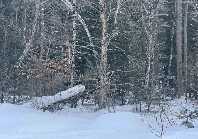 Photo 4 of Land for sale at South Wheelock Rd, Lyndonville, VT 05851 | MLS# 5075490 | Listing updated on 2026-04-10