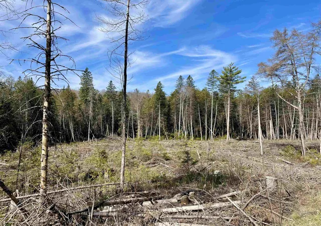 4th image of 00 Vermont Route 5A, Sutton, VT 05867 | MLS# 5075573