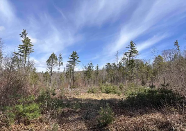 Homes for sale in Richmond, NH | M409 L66 2 Old Turnpike Rd, Richmond, NH 03470 | MLS# 5075613