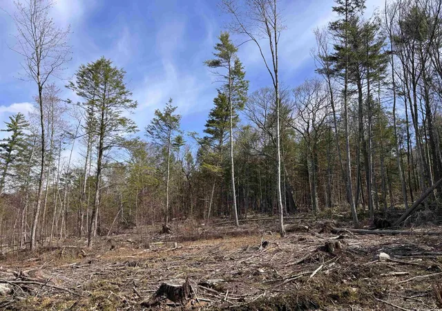 5th image of M409 L66 2 Old Turnpike Rd, Richmond, NH 03470 | MLS# 5075613