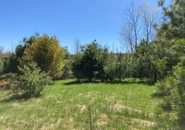 Homes for sale in Canaan, NH | 0 Us Route 4, Canaan, NH 03741 | MLS# 5076006