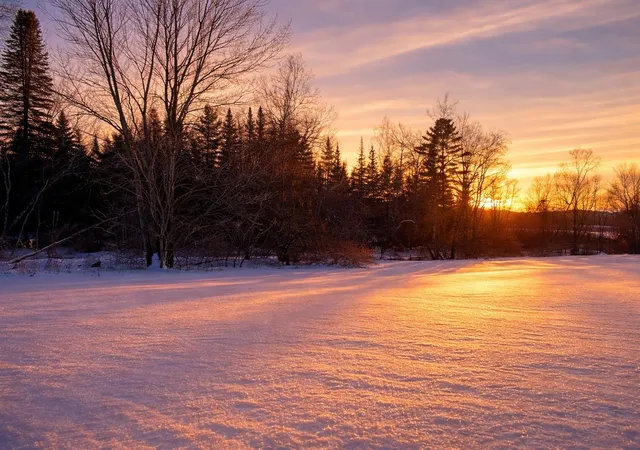 Photo 1 of Land for sale at 972 Fitzgerald Rd, Morrisville, VT 05661 | MLS# 5076132 | Listing updated on 2026-07-29