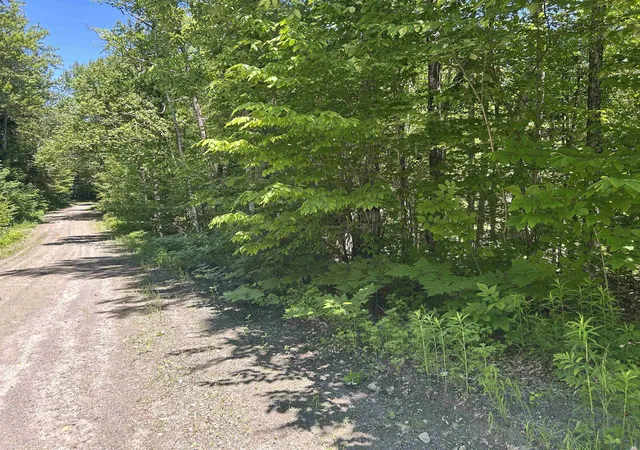 Homes for sale in Jamaica, VT | 000f 320 Bourbon Run, Jamaica, VT 05343 | MLS# 5076157
