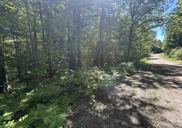 Homes for sale in Jamaica, VT | 000f 320 Bourbon Run, Jamaica, VT 05343 | MLS# 5076157