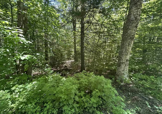 Homes for sale in Jamaica, VT | 000F-320 Bourbon Run, Jamaica, VT 05343 | MLS# 5076157