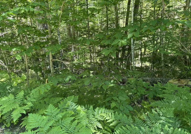 Homes for sale in Jamaica, VT | 000F-320 Bourbon Run, Jamaica, VT 05343 | MLS# 5076157