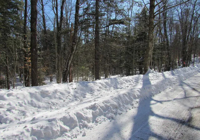 Homes for sale in Jamaica, VT | 000F-320 Bourbon Run, Jamaica, VT 05343 | MLS# 5076157