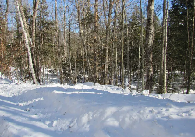 Homes for sale in Jamaica, VT | 000f 320 Bourbon Run, Jamaica, VT 05343 | MLS# 5076157