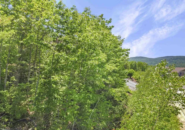 Homes for sale in Campton, NH | 1 Lilac Ln, Campton, NH 03223 | MLS# 5076630