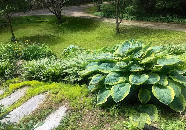 Photo 1 of Single family home for sale at 60 Irish Ln, Wallingford, VT 05773 | MLS# 5076979 | Listing updated on 2026-09-16