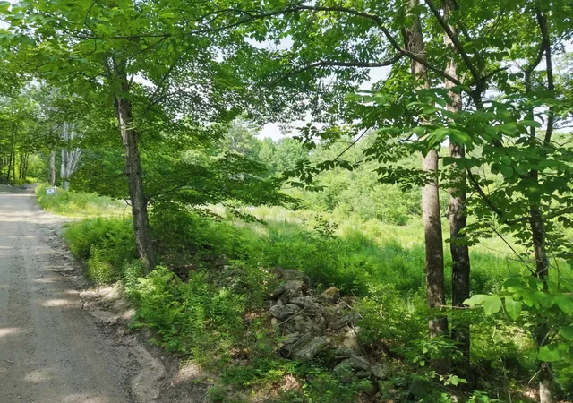 Homes for sale in Plymouth, NH | 793 Texas Hill Rd, Plymouth, NH 03264 | MLS# 5077090