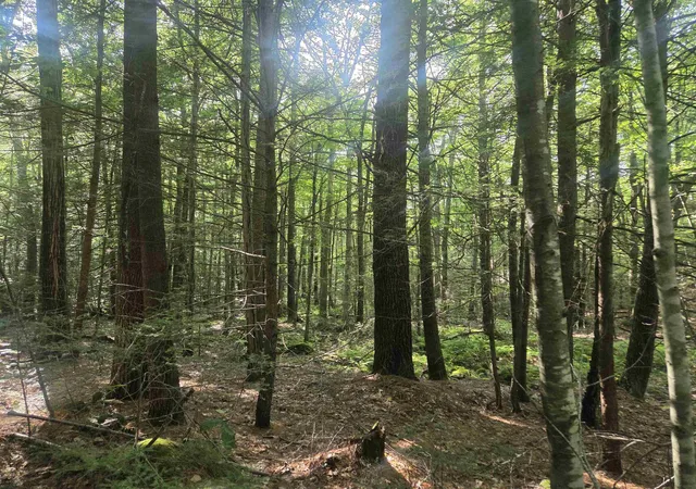 5th image of M20 L45 Green Rd, Raymond, NH 03077 | MLS# 5077328