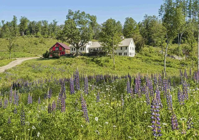 Homes for sale in Londonderry, VT | 4669 Vermont Rte 100 Rte, Londonderry, VT 05148 | MLS# 5077331